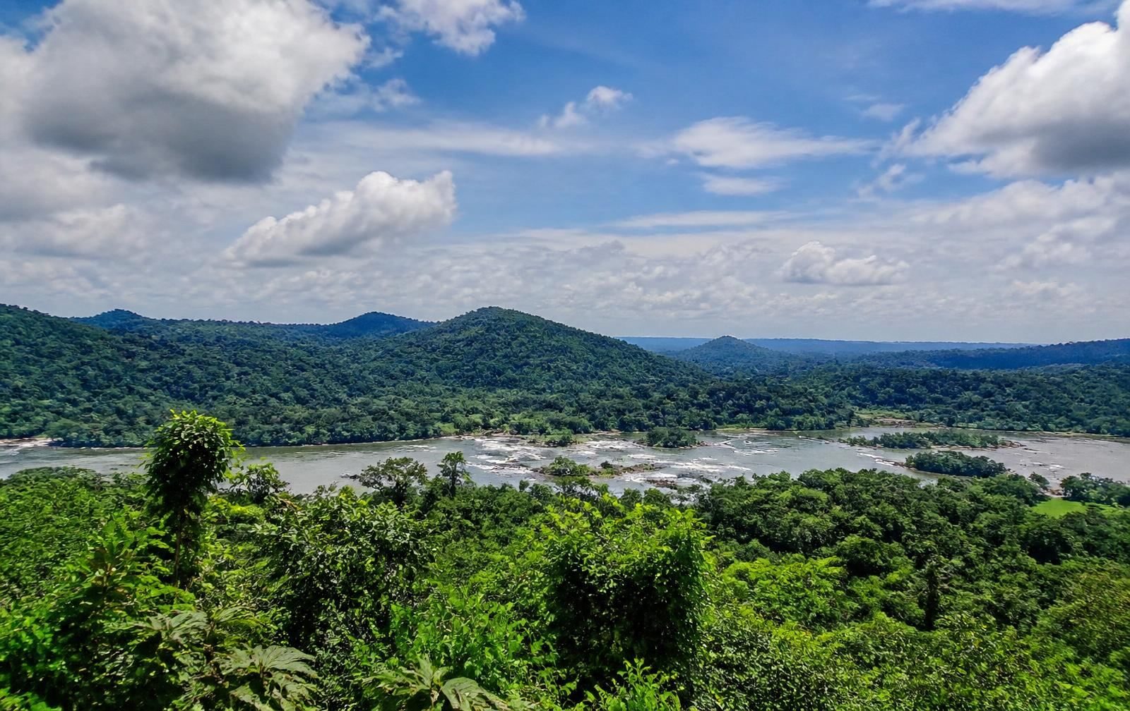 Études d'impact environnemental
